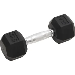 vidaXL Halters 2 st 12 kg totaal gietijzer