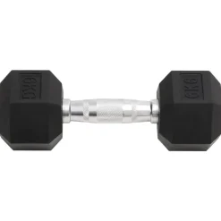 vidaXL Halters 2 st 12 kg totaal gietijzer