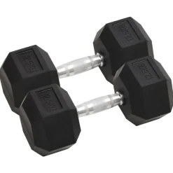 vidaXL Halters 2 st 25 kg totaal gietijzer