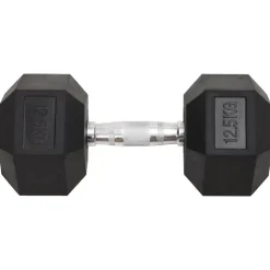 vidaXL Halters 2 st 25 kg totaal gietijzer