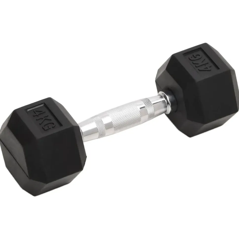 vidaXL Halters 2 st 8 kg totaal gietijzer
