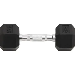 vidaXL Halters 2 st 8 kg totaal gietijzer
