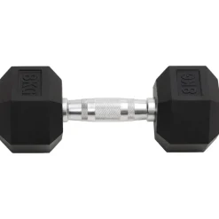 vidaXL Halters 2 st 16 kg totaal gietijzer