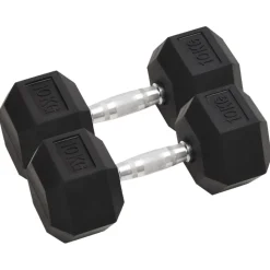 vidaXL Halters 2 st 20 kg totaal gietijzer