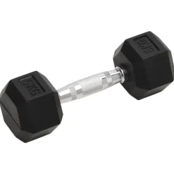 vidaXL Halters 2 st 10 kg totaal gietijzer