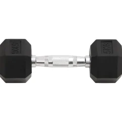 vidaXL Halters 2 st 10 kg totaal gietijzer