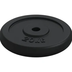 vidaXL Halterschijf 40 kg gietijzer