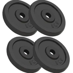 vidaXL Halterschijven 4 st 4x5 kg gietijzer