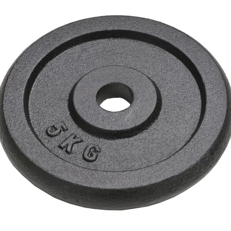vidaXL Halterschijven 4 st 4x5 kg gietijzer