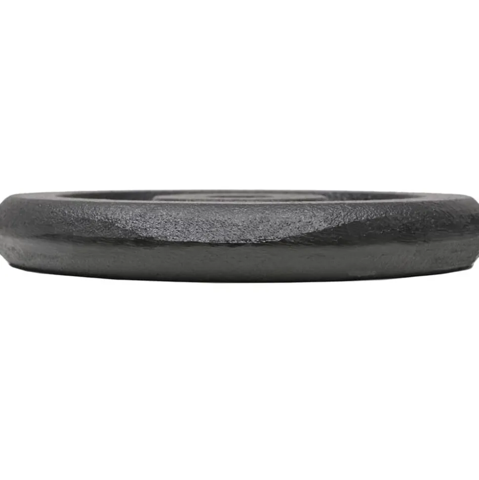 vidaXL Halterschijven 4 st 4x5 kg gietijzer