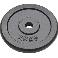 vidaXL Halterschijven 4 st 4x7,5 kg gietijzer