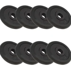 vidaXL Halterschijven 8 st 8x2,5 kg gietijzer