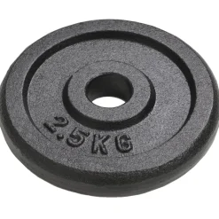 vidaXL Halterschijven 8 st 8x2,5 kg gietijzer