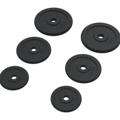 vidaXL Halterschijven 6 st 30 kg gietijzer