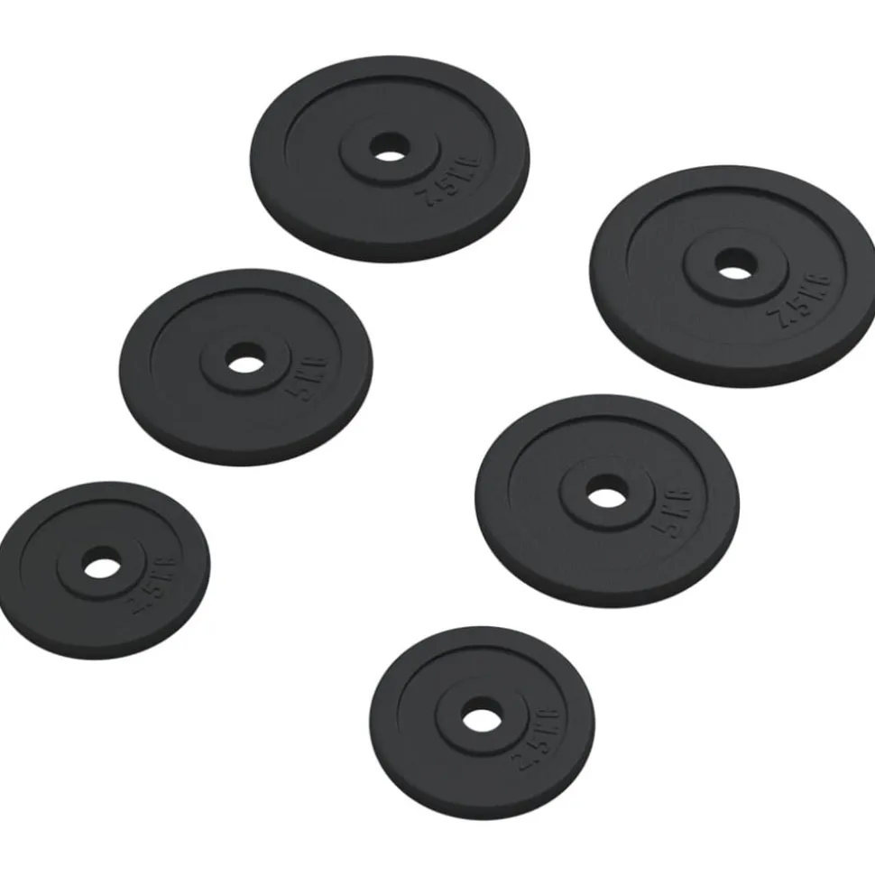 vidaXL Halterschijven 6 st 30 kg gietijzer