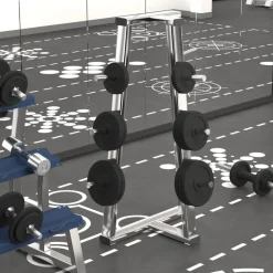 vidaXL Halterschijven 6 st 30 kg gietijzer