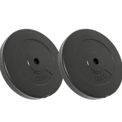 vidaXL Halterschijven 2 stuks 30 kg beton