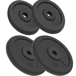 vidaXL Halterschijven 4 st 2x10 kg en 2x5 kg gietijzer