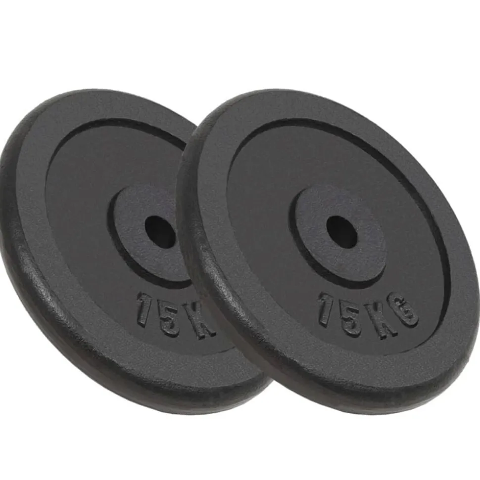 vidaXL Halterschijven 2 st 2x15 kg gietijzer