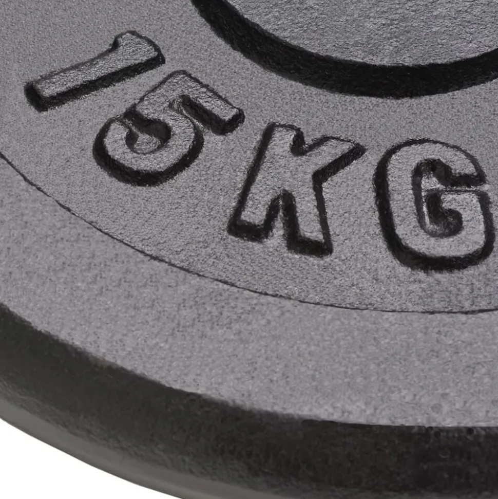 vidaXL Halterschijven 2 st 2x15 kg gietijzer