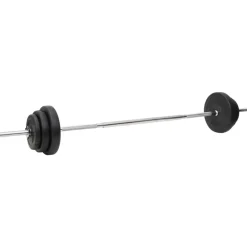vidaXL Halterset met gewichten 90 kg
