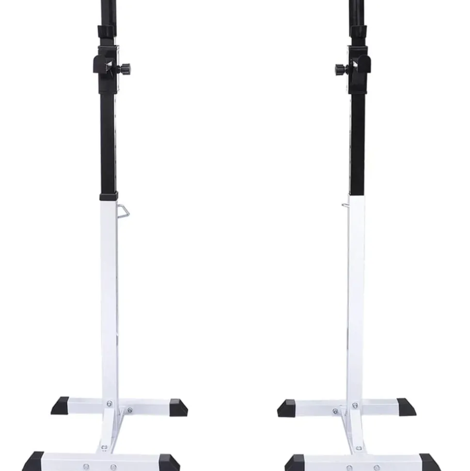 vidaXL Halter-/squatrek met halterset 60,5 kg