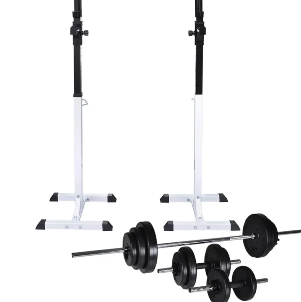 vidaXL Halter-/squatrek met halterset 30,5 kg