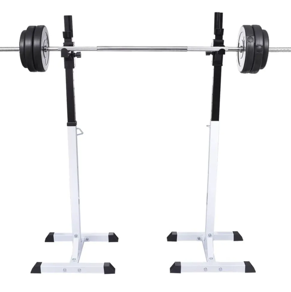 vidaXL Halter-/squatrek met halterset 30,5 kg