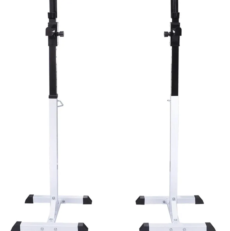 vidaXL Halter-/squatrek met halterset 30,5 kg