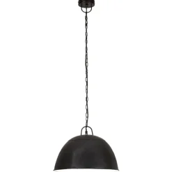 vidaXL Hanglamp industrieel vintage rond 25 W E27 41 cm zwart