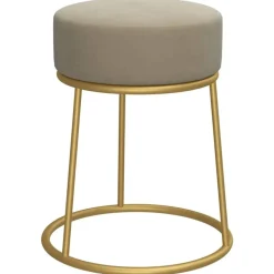 vidaXL Hocker rond fluweel donkergrijs
