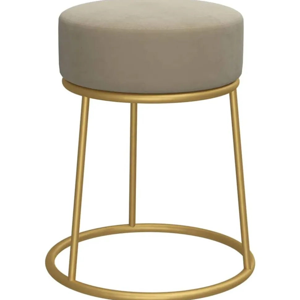 vidaXL Hocker rond fluweel donkergrijs