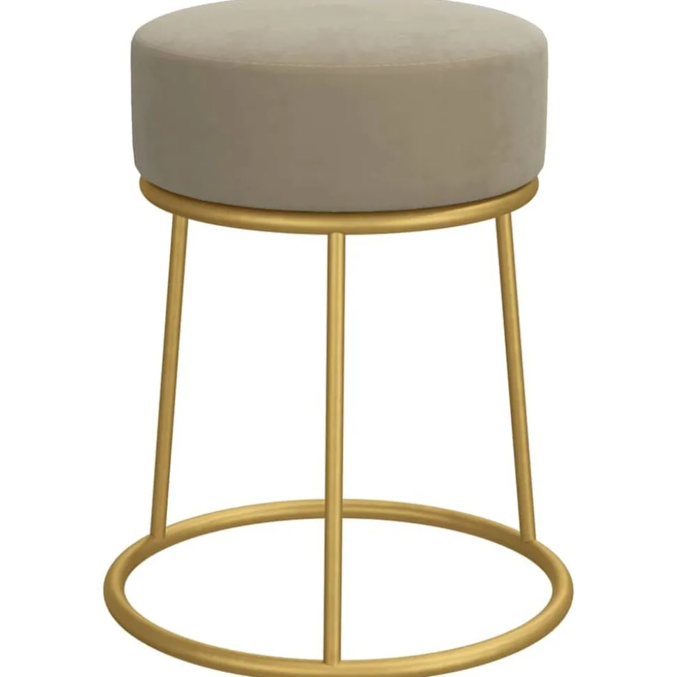 vidaXL Hocker rond fluweel donkergrijs
