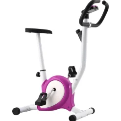 vidaXL Hometrainer met bandweerstand paars