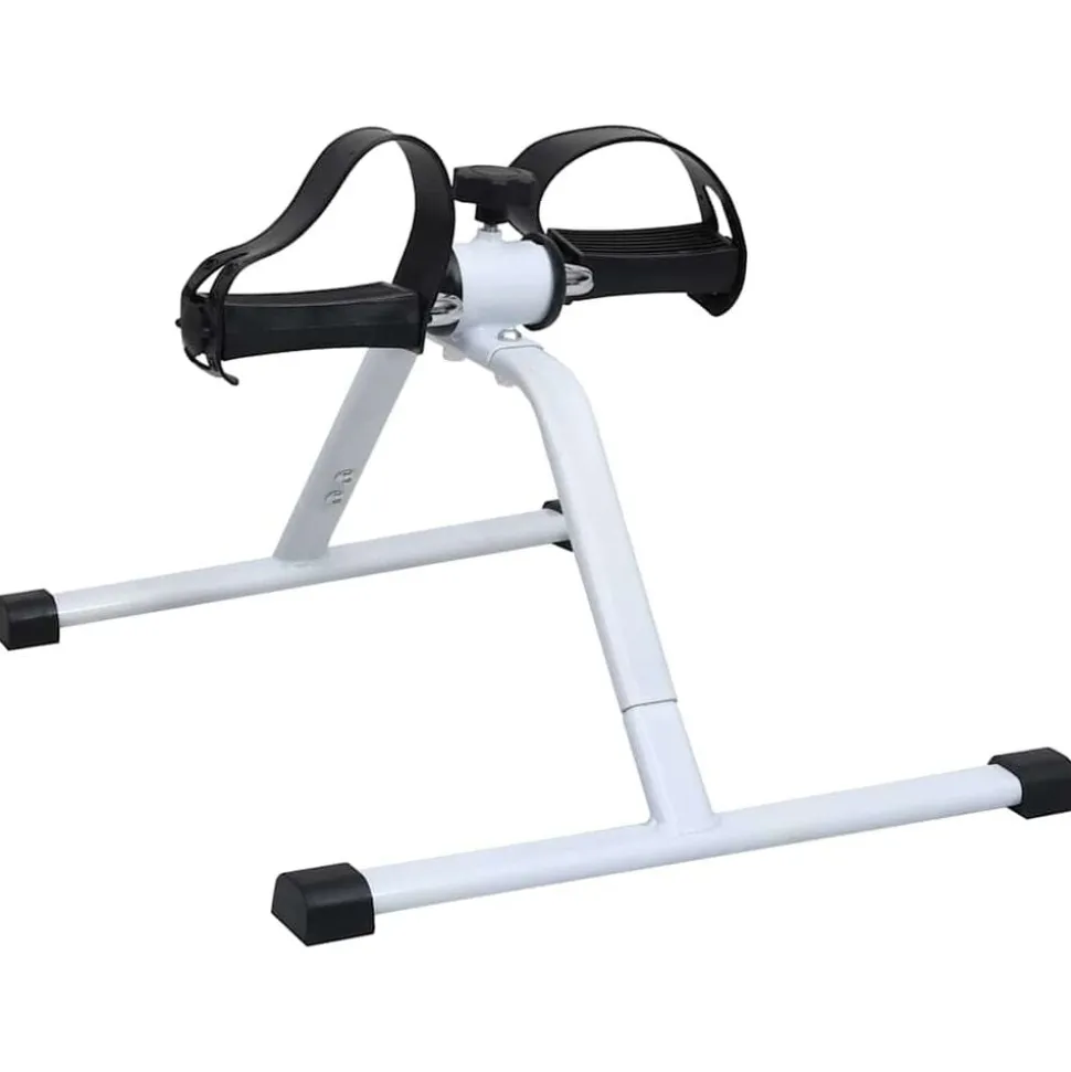 vidaXL Hometrainer mini