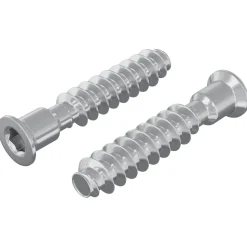 vidaXL Hoofdkapbout 2 pcs Zilver M7 x 40 mm Staal