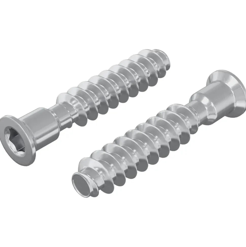 vidaXL Hoofdkapbout 2 pcs Zilver M7 x 40 mm Staal