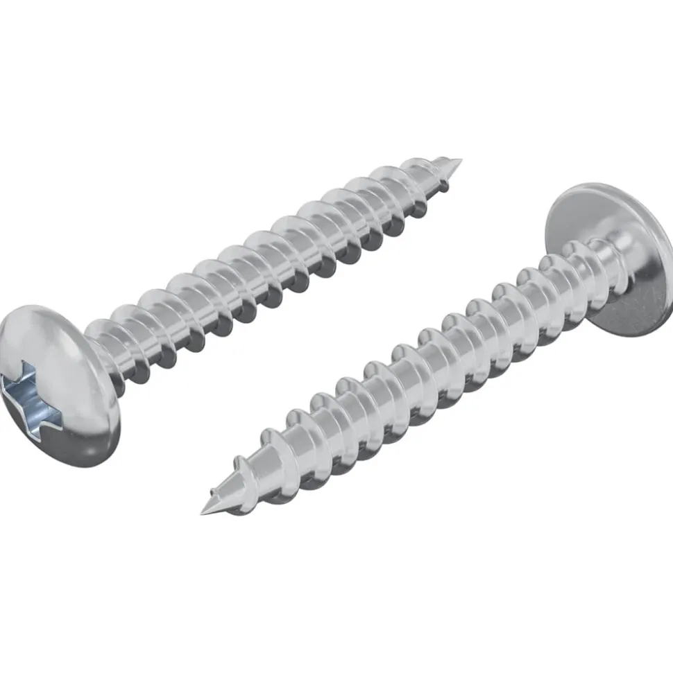 vidaXL Houten Schroef 2 pcs Zilver M4 x 28 mm IJzer