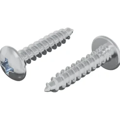 vidaXL Houten Schroeven 2 pcs Zilver M4 x 20 mm Staal