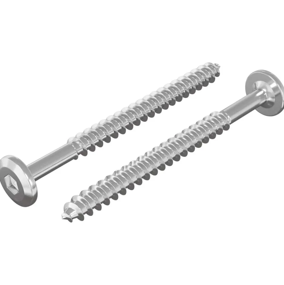 vidaXL Houten Schroeven 2 pcs Zilver M6 x 70 mm Staal