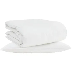 vidaXL 2-in-1 Dekbed met kussen 2 pcs Wit Donsveertjes