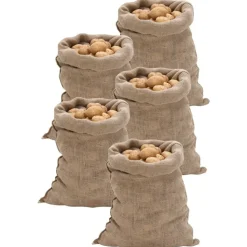 vidaXL Jutezakken 5 stuks 60x105 cm 100% jute 220 g/m²
