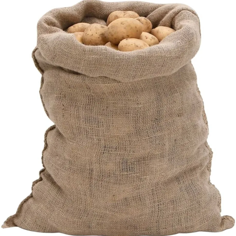 vidaXL Jutezakken 5 stuks 60x105 cm 100% jute 220 g/m²