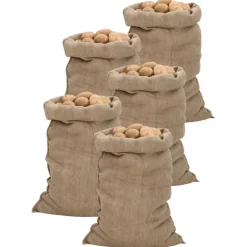 vidaXL Jutezakken 5 stuks 340 g/m² 60x105 cm 100% jute