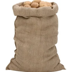 vidaXL Jutezakken 5 stuks 340 g/m² 60x105 cm 100% jute