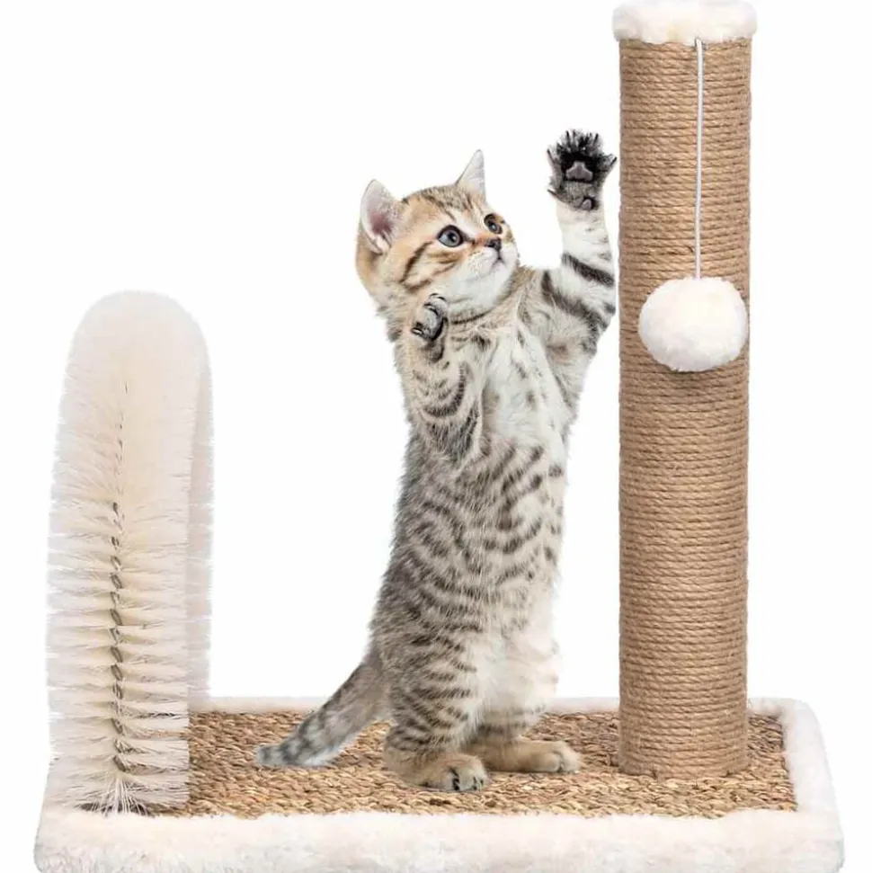 vidaXL Kattenkrabpaal met borstelboog en krabpaal