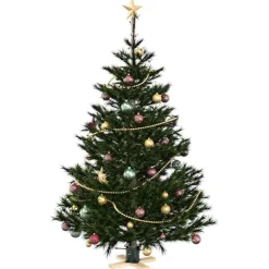 vidaXL Kerstboomstandaard Groen 50 x 50 x 16 cm Massief grenenhout