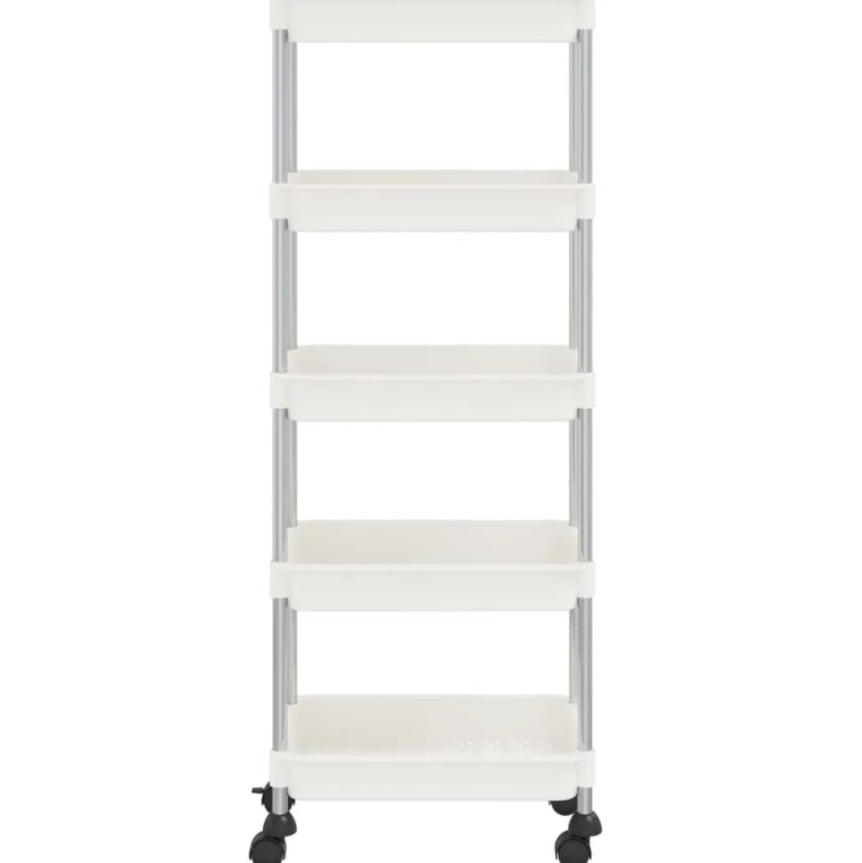 vidaXL Keukentrolley 5-laags 42x29x128 cm ijzer en ABS wit