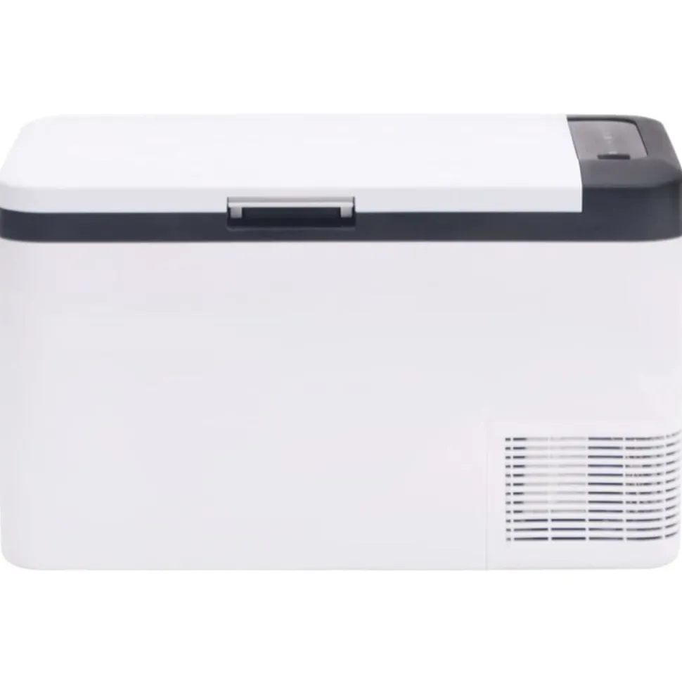 vidaXL Koelbox met handvat 25 L PP & PE zwart en wit