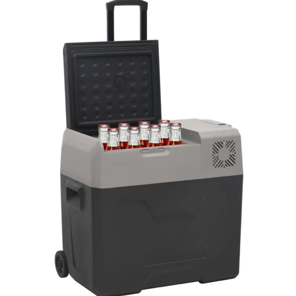 vidaXL Koelbox met wielen en adapter 40 L polypropeen zwart en grijs